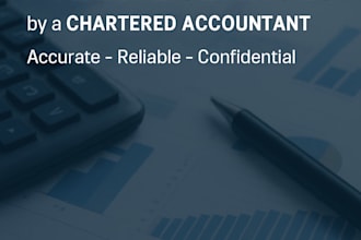 provide professional accounting and finance services as a chartered accountant