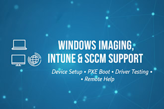 provide windows device setup and tech support