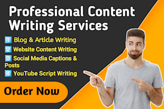 write SEO optimized articles and blog posts for your website