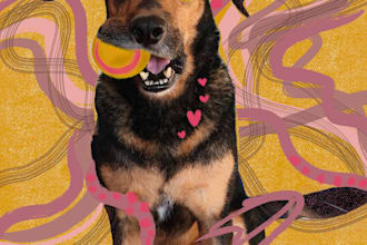 draw your pet animal portrait illustration