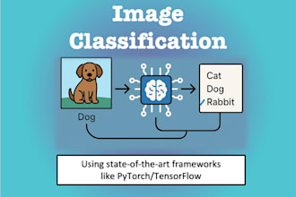 develop high accuracy image classification systems