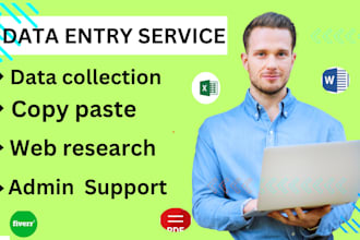 expert data entry, copy paste, web research job