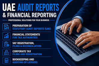 prepare audit report and fine waiver applications for dubai uae companies