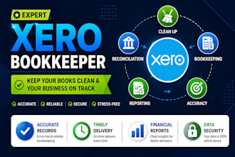 do xero bookkeeping, cleanup and reconciliation