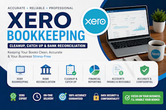 do xero bookkeeping, cleanup and reconciliation
