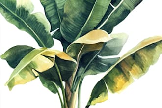 illustrate best botanical illustration