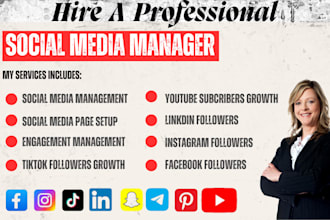 grow and manage your facebook instagram, tiktok, snapchat and linkedin followers