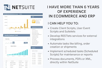 ecommerce developer netsuite shopify