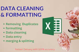 do excel data cleaning, formatting, split data to column