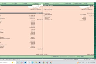 do tally bookkeeping and monthly reconciliation tally erp and tally prime