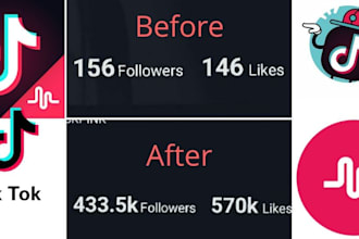 grow and promote your tiktok account followers organically, tik tok promotion