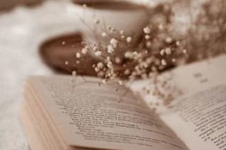 beta read your ebook and give a feedback as a arc reader