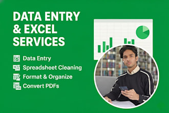 data entry, excel formatting, and PDF to excel conversion