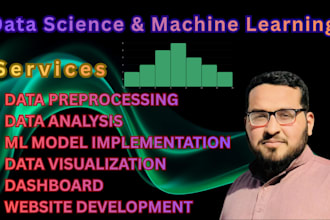 do machine learning and data science projects