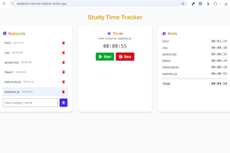 frontend developer and react developer