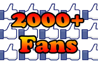 deliver 2k to 10k organic facebook page followers and likes