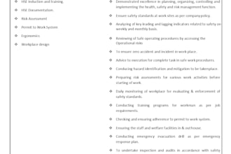 develop  and provide training material,develop safety management systems