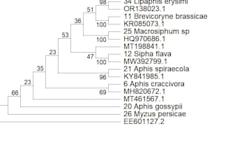 trim and make phylogenetic tree from your sequenced dna data