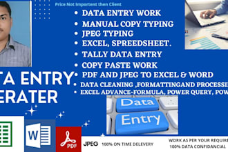 do fast, accurate advance data entry excel data cleaning,formating work