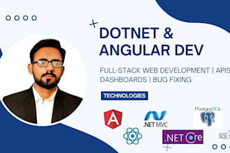 develop dot net core and angular applications and webapis
