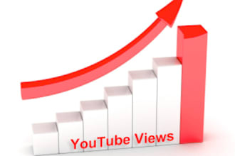 give you 1000 YouTube video views 100 Likes 100 subscribers 100 favorites and 100 comments