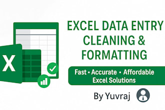 do excel data cleaning, data entry, solve any excel problems