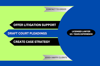 provide professional litigation support and draft court documents