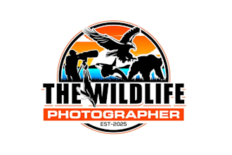create high quality and beautiful wildlife logo design