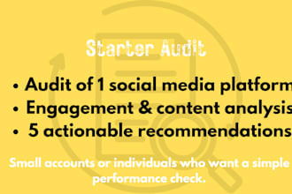 audit your social media and provide a step by step growth strategy