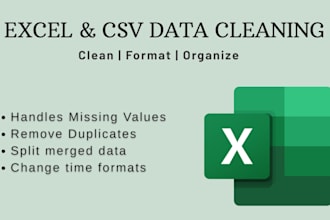 clean and format messy excel data and organize it