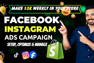be your facebook ads campaign manager, run fb ads campaign shopify fb ads