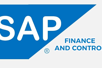 provide consultancy in sap s4 hana finance
