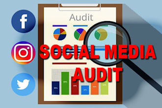 perform a professional social media audit and give action plan to grow