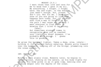revise, proofread or write your original film or tv script