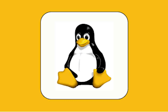 help to set up your server