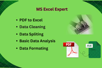 convert PDF to excel, clean, format, split, merge excel data