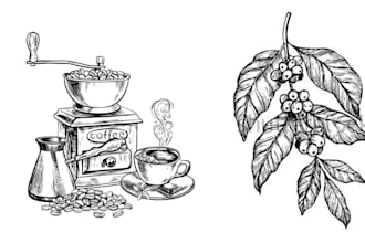create amazing botanical illustration