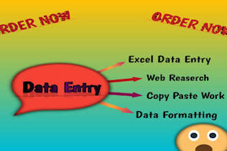 do fast excel data entry,web research,and excel work, copy past