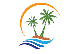 create wonderful and excellent palm logo design
