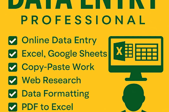 do fast and accurate excel data entry, cleaning, and formatting