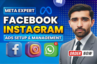 fb and insta ads campaign, pro meta ads manager, expert manager, meta ads, smm