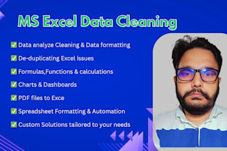clean, analyze and formatting your data with excel expert