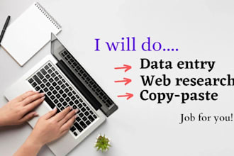 do accurate data entry, web research, and canva design work