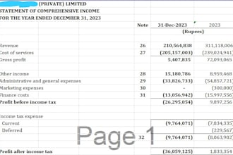 manage bookkeeping and create financial statements
