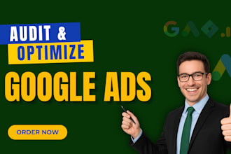 provide google ads audit and optimize