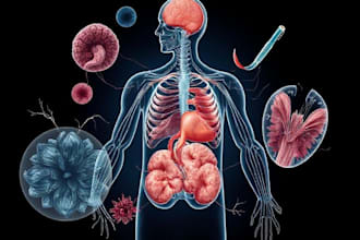 draw professional medical illustrations