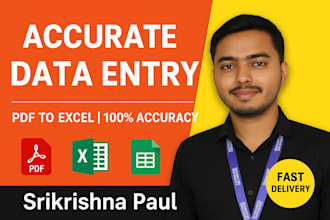 do accurate data entry, PDF to excel or excel spreadsheet work