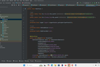 provide professional QA automation testing for your website or applicatio