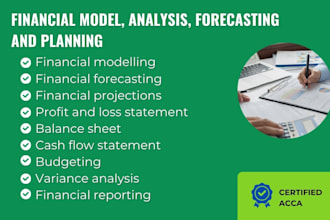 do financial modeling, ratio analysis, forecasting and planning
