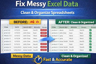 clean, format, and organize excel or google sheets data